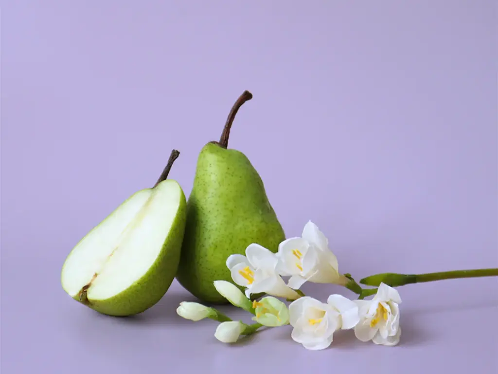 Pear and Freesia - Aroma City Scents for Scenting Machine